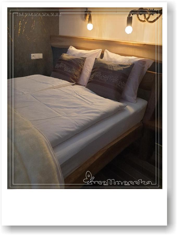 Wellnesska Casa vacanze Vyhne